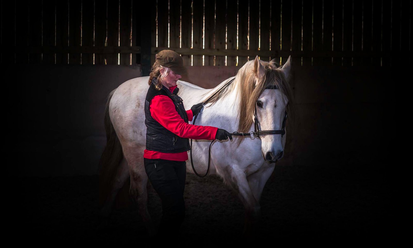 Trudi demonstration ground work