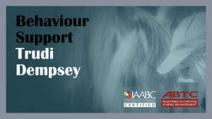 Behaviour Support for Horse Owners and Caregivers