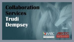 Collaboration Services