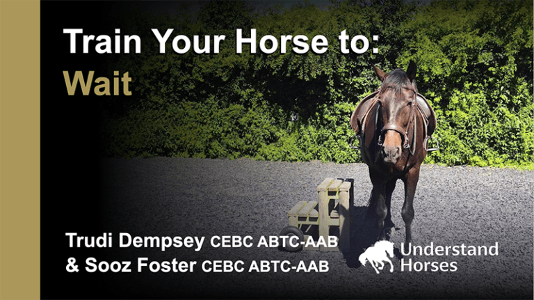 train your horse to wait course card at Understand Horses