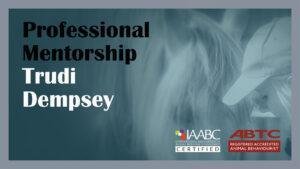 Professional Mentoring
