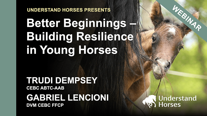 Better beginnings building resilience in young horses course card at Understand Horses