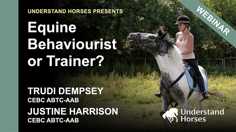 Equine Behaviourist or trainer course card at Understand Horses