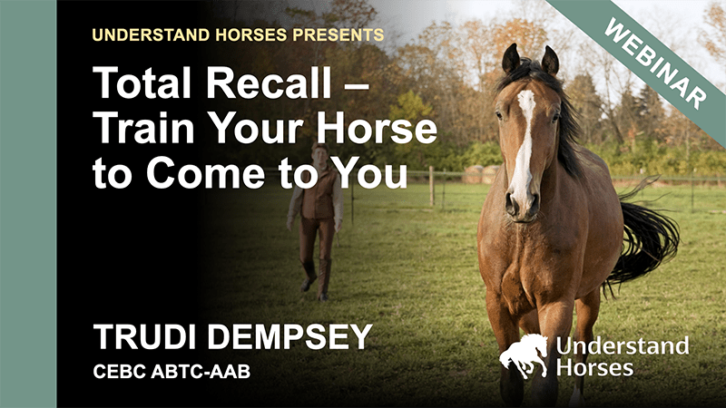 Total recall, how to train your horse to come to you course card at Understand Horses