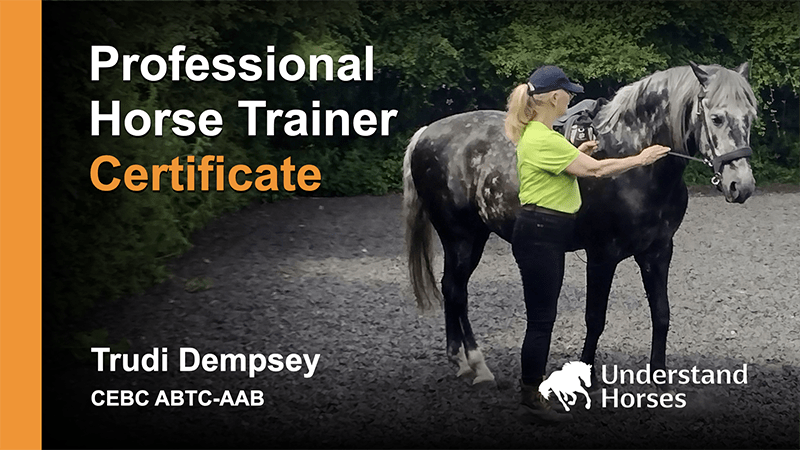 Professioanl horse trainer certificate course card at Understand Horses