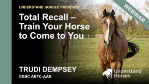 Total recall course card at Understand Horses