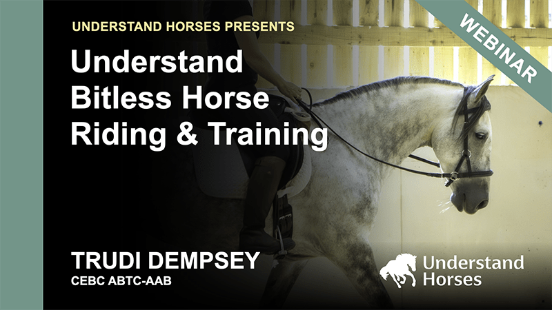 Understand bitless horse riding and training course card at Understand Horses