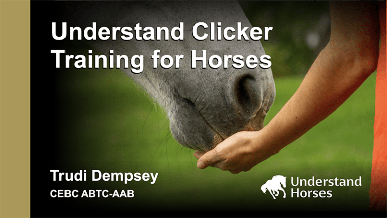 Course card for Understand Clicker Training for Horses at Understand Horses.