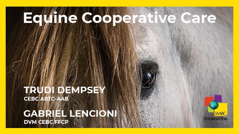 Equine cooperative care course card at IAABC Foundation