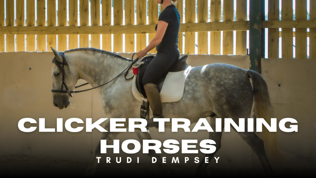Errorless Learning With Horses clicker training horses YouTube channel thumbnail shows Trudi Dempsey riding bitless a grey Spanish horse