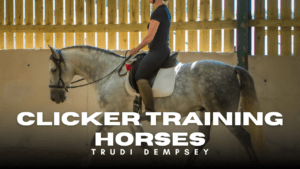 Errorless Learning With Horses clicker training horses YouTube channel thumbnail shows Trudi Dempsey riding bitless a grey Spanish horse