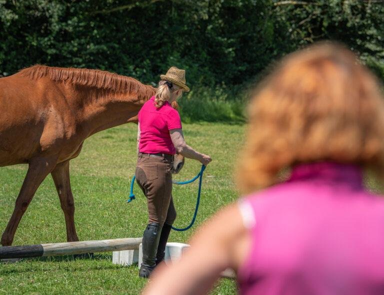 Trudi demonstrates at equine clicker training events, here she is with Fletcher a big chestnut horse.